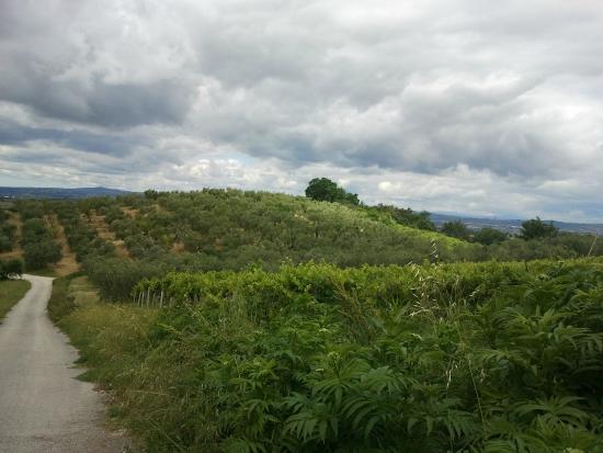 Riserva Naturale Macchia