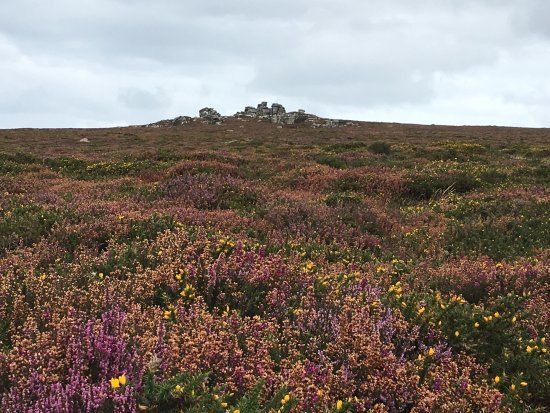 Tregeseal East stone circle