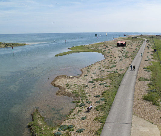 Rye Harbour Nature Reserve