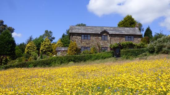 Mount Pleasant Gardens