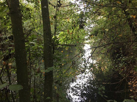 Ufton Fields Nature Reserve