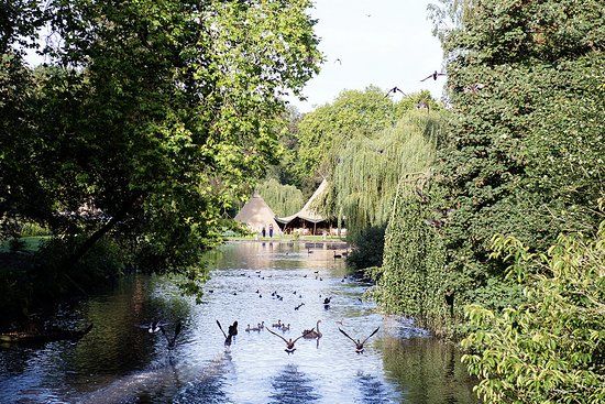 Busbridge Lakes
