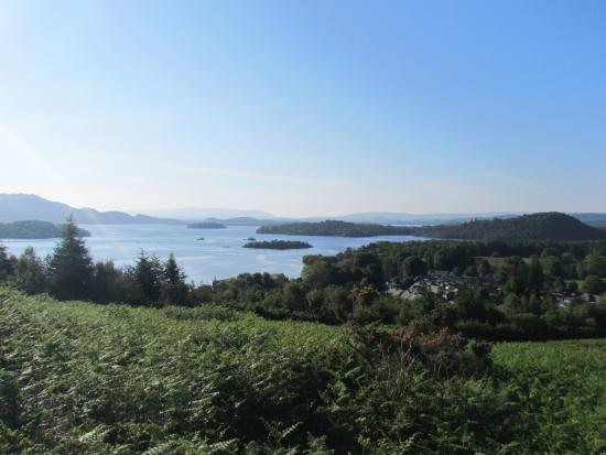 Loch Lomond National Nature Reserve