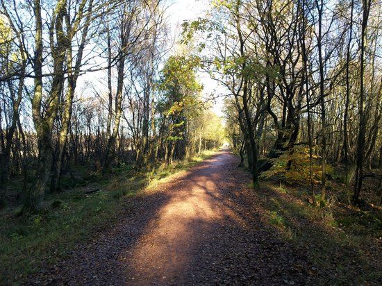 Drumpellier Country Park