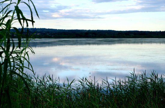 RSPB Portmore Lough Nature Reserve