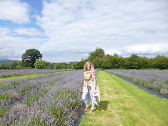 Wexford Lavender Farm