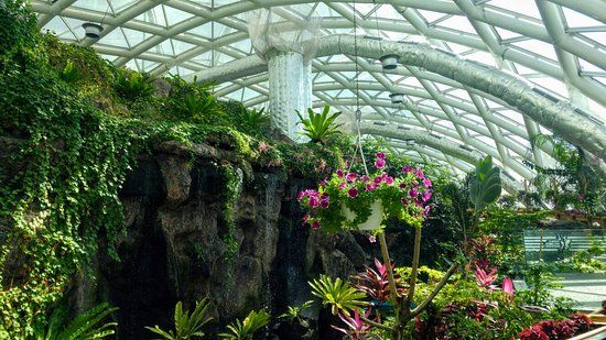 Konya Tropical Butterfly Garden