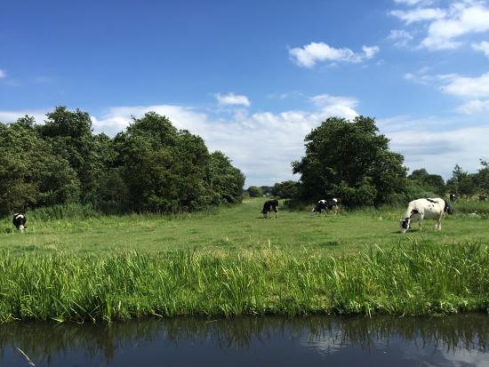 Tuinderij Land En Boschzigt