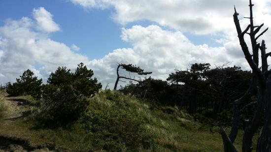 Nationaal Park Duinen van Texel