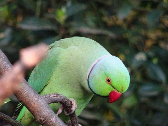 Kinderboerderij Dierendorp