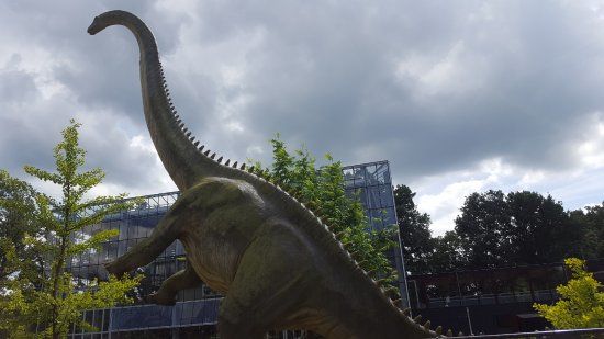 Oertijdmuseum Boxtel
