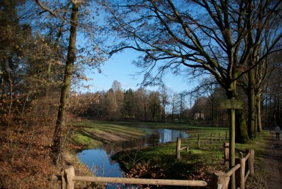 Regte Heide & Riels Laag