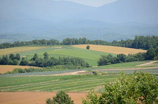 Chiyoda Hill Lookout