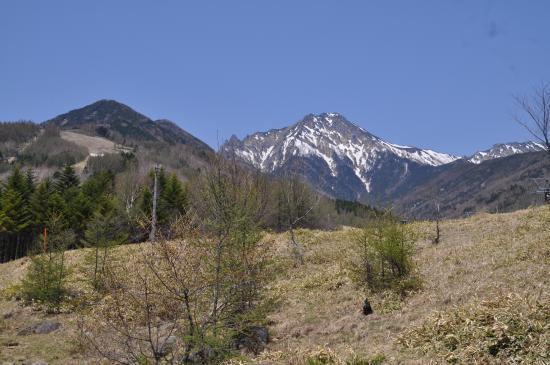 Yamanashi Prefectural Yatsugatake Shizen Fureai Center