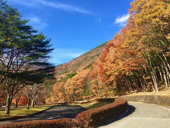 Hakonomori Play Park