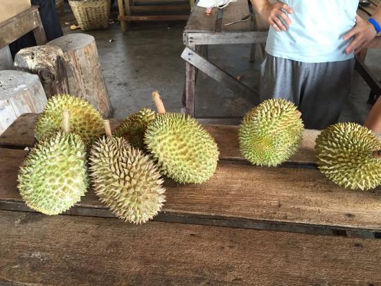 Bao Sheng Durian Farm