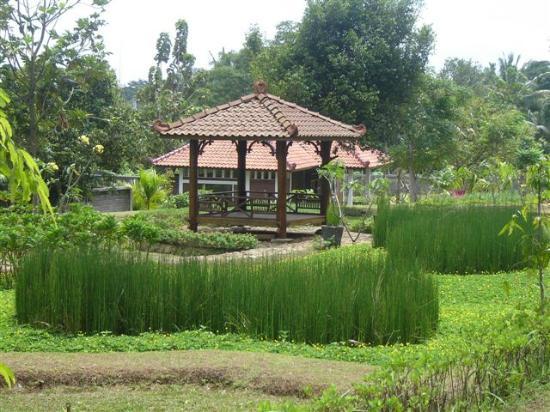 Taman Djamoe Indonesia
