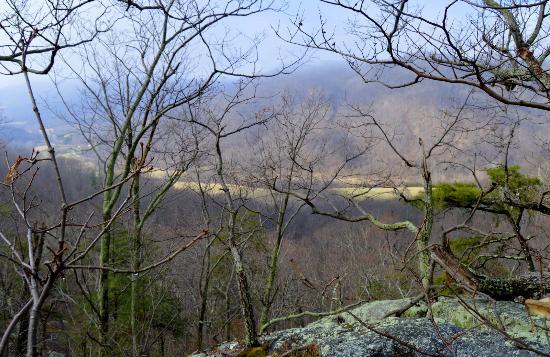 Fortune's Cove Preserve