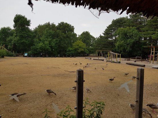 Naturerlebnispfad Vogelkoje Meeram