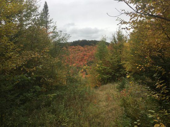 Les Sentiers de Standon