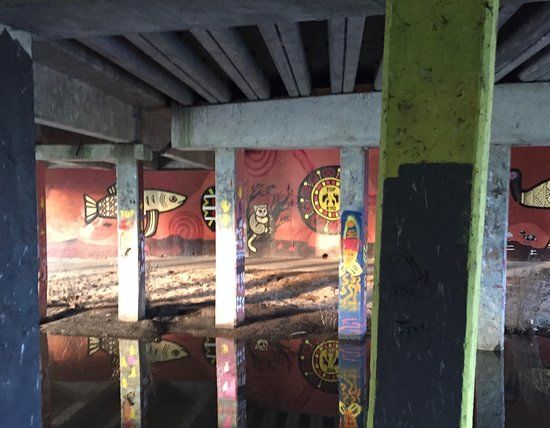 Waterhole Creek Cultural Trail