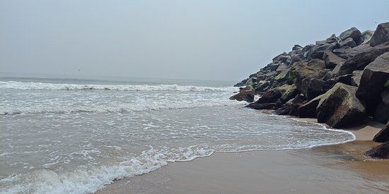 Mahanadi River Estuary