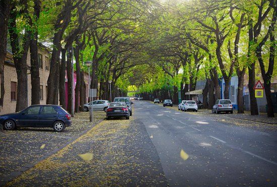 Generala Drapsina Street