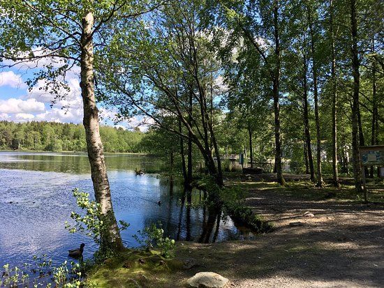 Fontins Naturreservat