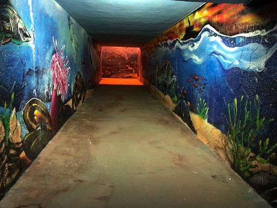 Beach Paço de Arcos