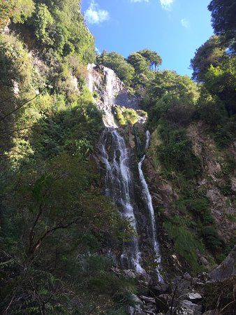 Reserva Biologica Juan Millanao