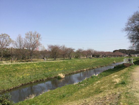 Daihorikawa Riverside Park