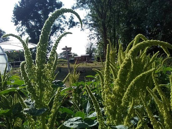 De la fourche a la fourchette