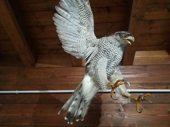 Centro Visitatori "Tradizioni e biodiversita in una valle fantastica"