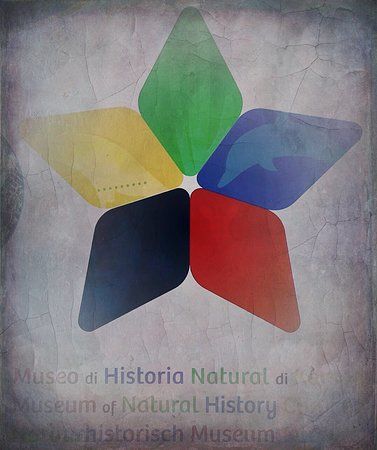 Museum of Natural History Curacao