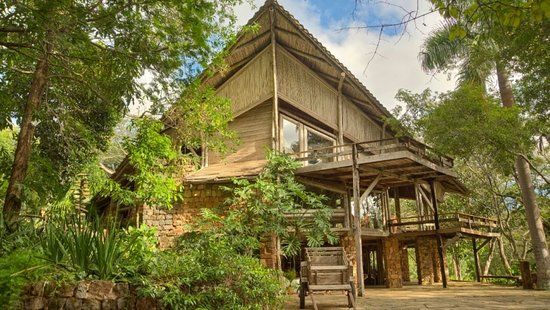 Paraqueira In Natura