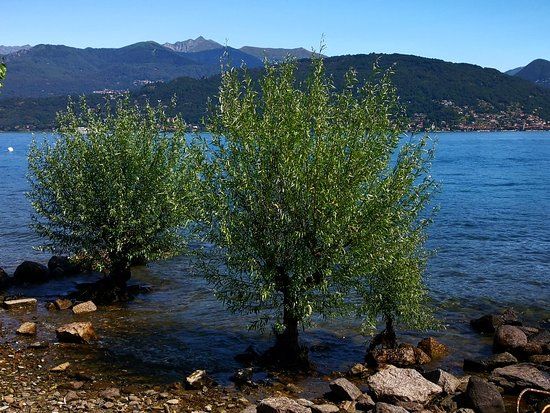 Spiaggia Camping Lago Azzurro
