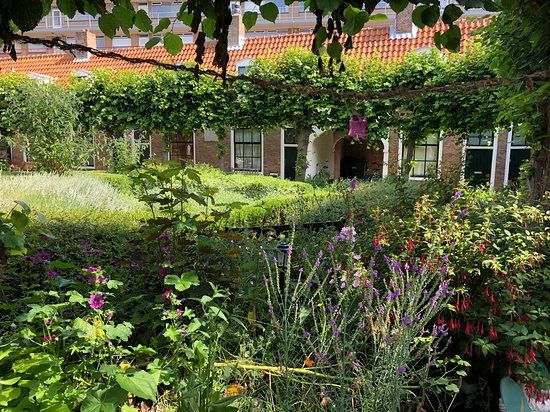 Cornelia Quackshofje