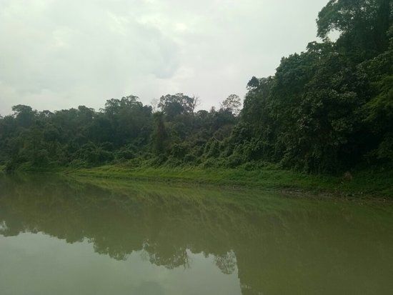 Jeypore Rainforest