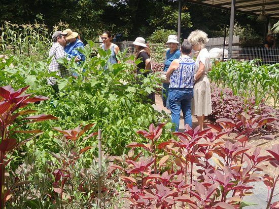 Self-Picking Beit Hillel