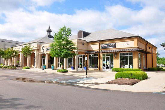 The Township at Colony Park