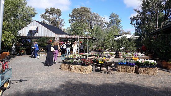 Moorelands Bush Nursery