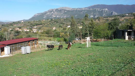 Azienda Agricola Maglio