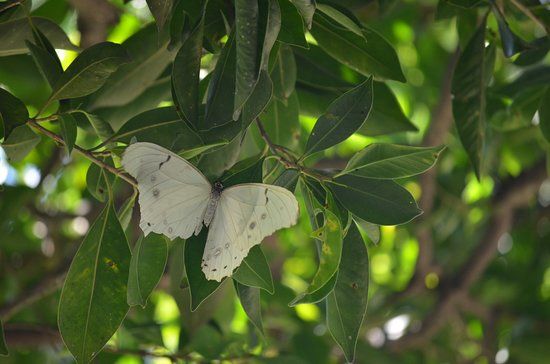 Club de Golf Hacienda San Gaspar