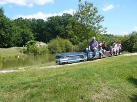 Mon'Ti Train des Montils