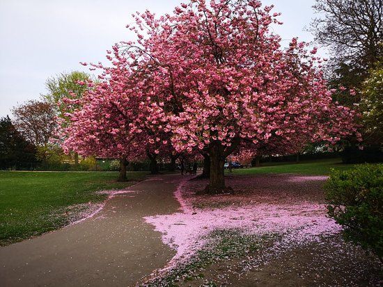 Pontefract's Valley Gardens