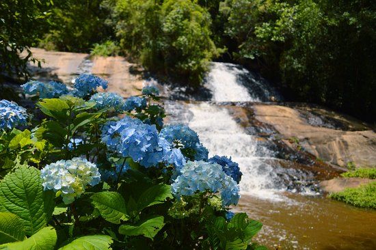 Canto das Cachoeiras