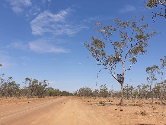 Lake Dunn Sculpture Trail