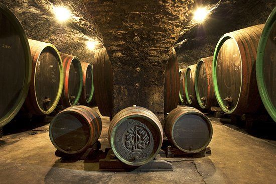 Zamecke Sklepy Straznice