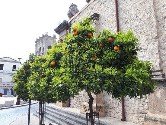 Piazza Vittorio Veneto
