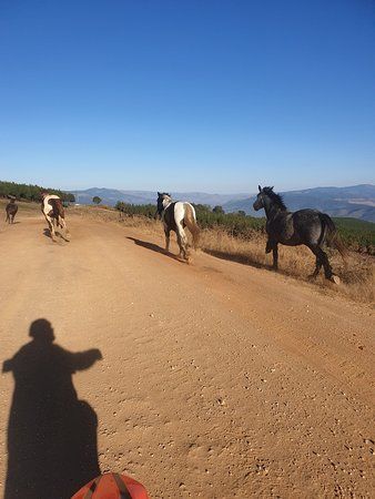 Kaapsehoop Horse Trails Volunteer Project
